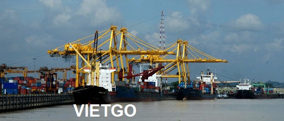 ngô hạt việt nam